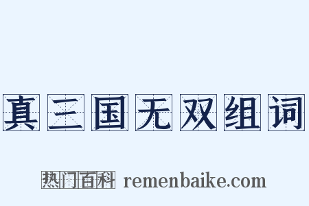 真三国无双组词是什么意思的图片